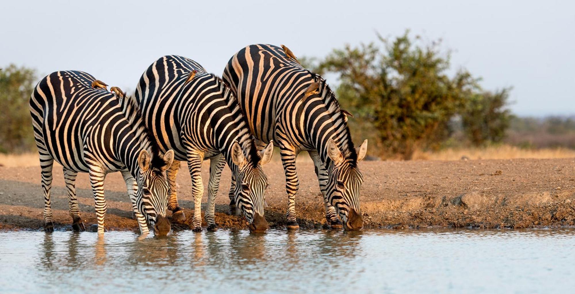 فيلا The View Kariba المظهر الخارجي الصورة